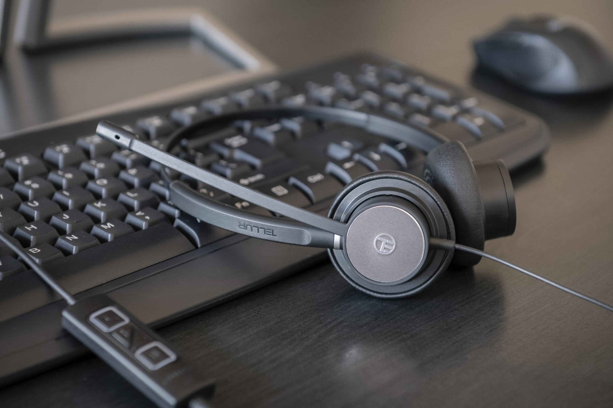 Voice 420 Headset
