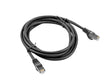 EAN 5901969418903 - Lanberg PCF6-10CC-0050-BK cable de red Negro 0,5 m Cat6 F/UTP (FTP) imagen 1