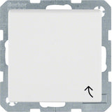 Berker 4751 19 09 Up-Steckdose Pws S.1 Mit Klappdeckel
