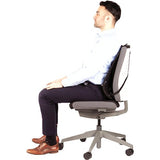 Respaldo Fellowes Mesh Professional Series Suites Cojin Lumbar - Material De Malla - Sistema Triple Tensor - Color Grafito