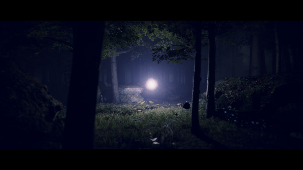 Juego Project Songbird Playstation 5