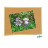 Faibo Tablero Corcho Económico 60x90 Cm Con Marco De Madera 18mm