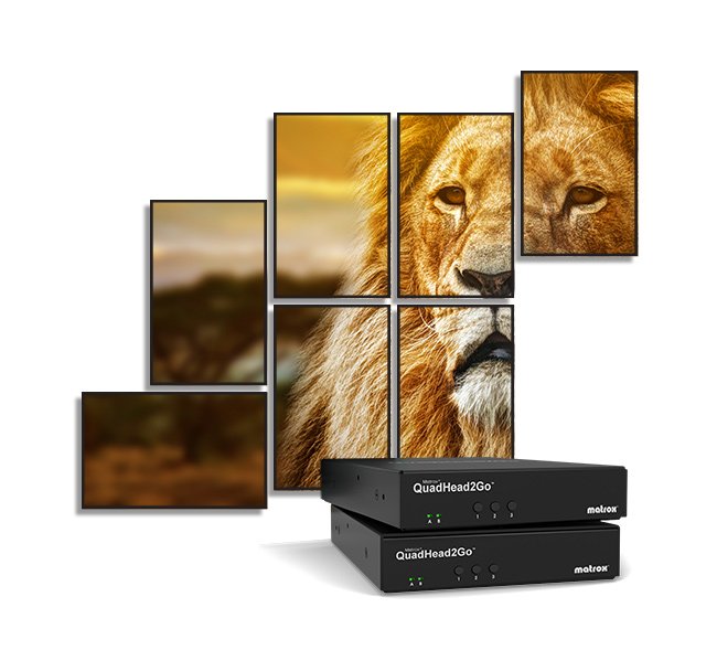 Matrox Quadhead2go Q155 Multi-Monitor Controller Appliance / Q2g-H4k, Negro, Metal, Regulatory/Environmental Compliance: Emc Class A: Fcc, Ce, Kc, Rcm, Vcci, 1000 Mbit/S, 10/100base-T(X), 1 Gb