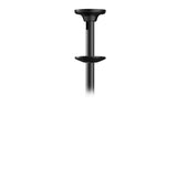 Newstar Soporte De Techo Para Tv