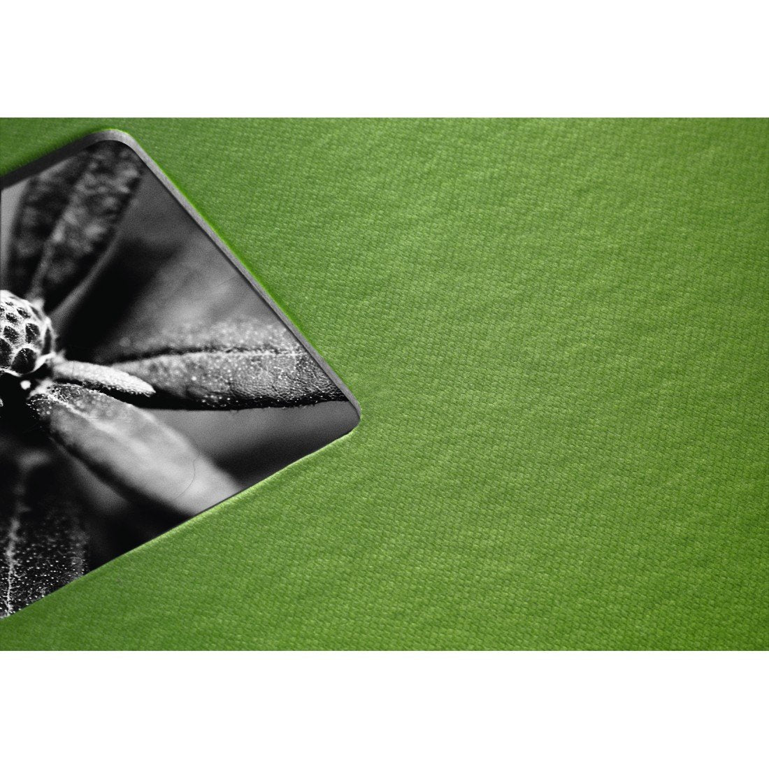 Hama Fine Art Álbum De Foto Y Protector Verde 300 Hojas 10 X 15, 13 X 18