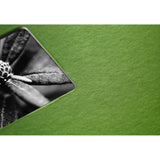 Hama Fine Art Álbum De Foto Y Protector Verde 300 Hojas 10 X 15, 13 X 18
