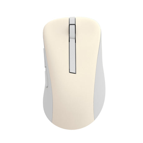 EAN 0197105537606 - ASUS Wireless Mouse MD102 ratón Universal mano derecha RF Wireless + Bluetooth Óptico 1600 DPI imagen 1