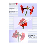 EAN 4030152091805 - Olympia 1x25 DIN A3 80 micron plastificador 25 pieza(s) imagen 1
