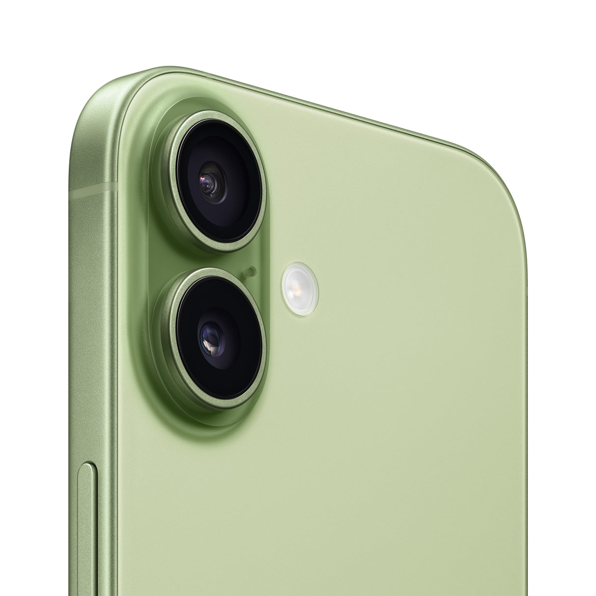 EAN 195950645309 - Apple iPhone 17 16 cm (6.3") SIM doble iOS 26 5G USB Tipo C 512 GB Salvia imagen 3
