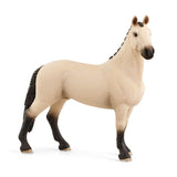 Schleich Horse Club 13928 Hannoverian Castrado, Dun