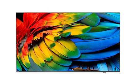 Philips Hotel Tv  65hfl6214u/12  164,0cm(65") Mediasuite