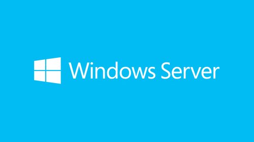 Microsoft Windows Server Std 2019 5 Cal Oem