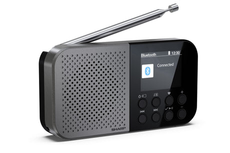 EAN 4974019204451 - Sharp DR-P520 Personal Digital Gris imagen 3