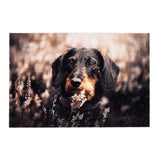 Felpudo De Interior, Deco Print, 100% Poliamida, 40 X 60cm, Diseño Perro