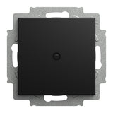 EAN 4011395360958 - Busch-Jaeger 2CKA001715A0321 placa de pared y cubierta de interruptor Negro imagen 1