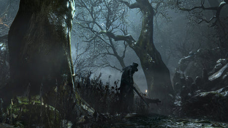 EAN 0711719436775 - Sony Bloodborne, Playstation 4 Estándar Inglés, Italiano imagen 11