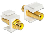 Keystone Modul Cinch Buchse > Cinch Buchse Chapado En Oro Gelb   Weiss
