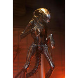Figura Ultimate Scorched Xenomorph Scale Action Fig. 23 Cm Alien: Romulus