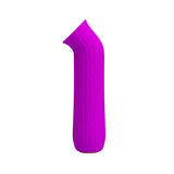 Ford Vibrator Usb Purple Cl50