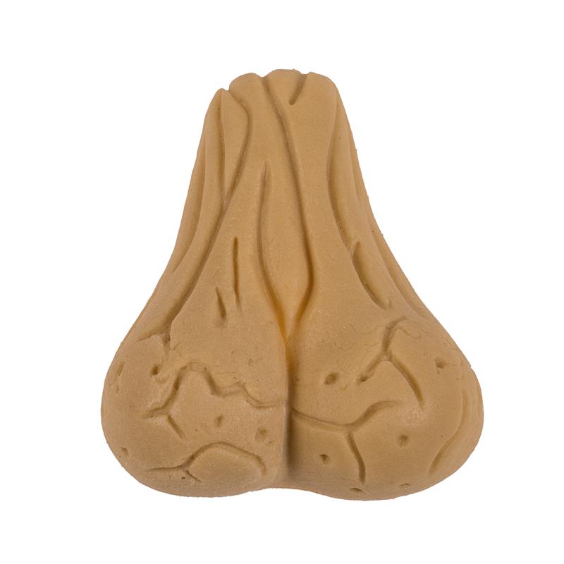 Growing Testicle 4x3 Cm