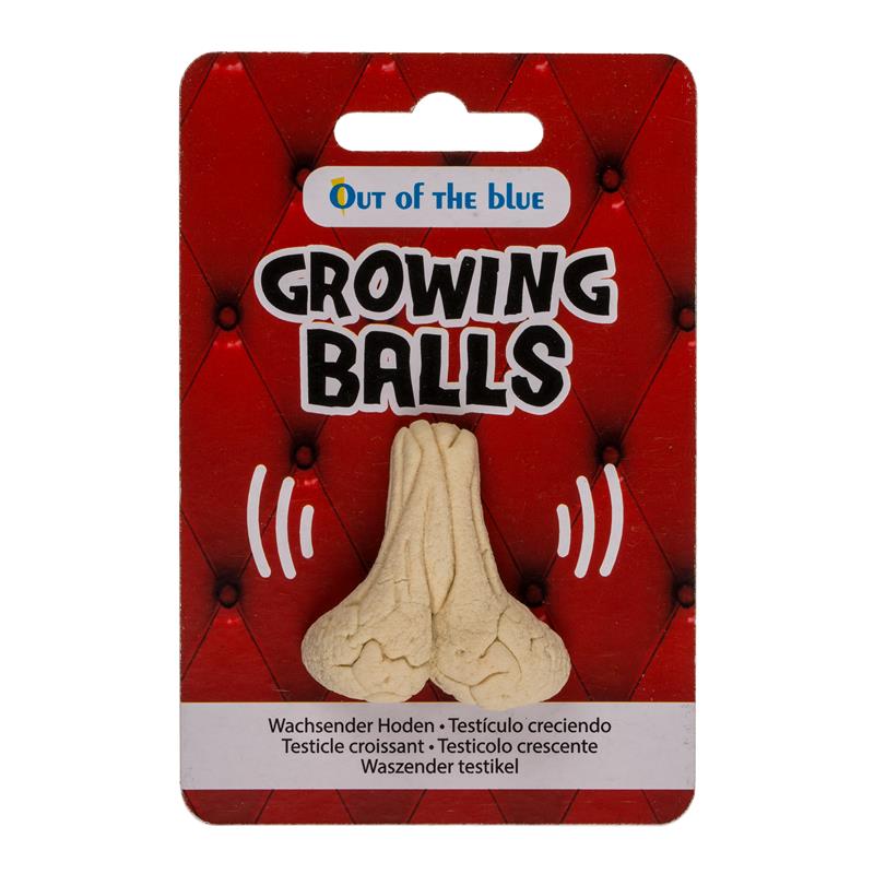 Growing Testicle 4x3 Cm