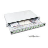 Lwl 19" Spleissbox Con 24x Sc Duplex Kupplungen Os2, Komplett Bepiezast