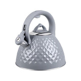 Hervidor  Tmc14g Promis 2,8 L, Marco, Gris Brillo