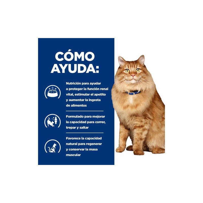 Hill'S Pd K/D Kidney + Mobility Pollo - Comida Seca Para Gatos - 3kg