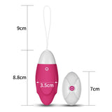 Huevo Vibrador Ijoy Control Remoto Usb Rosa