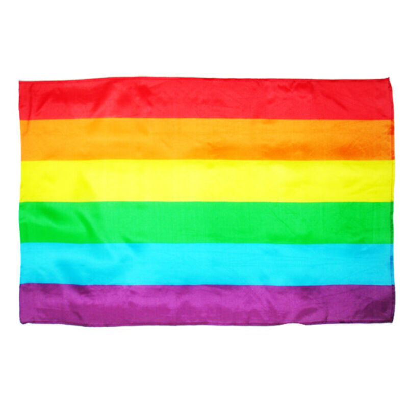 Pride - Bandera Mediana Lgbt