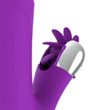 Fun Function - Bunny Funny Up & Down  2.0