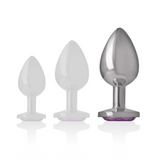 Intense - Plug Anal Metal Aluminio Con Cristal Violeta Talla L