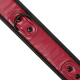 Fetish Submissive Dark Room - Collar Con Cadena Con Forro De Neopreno