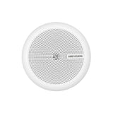 Indoor Security Microphone