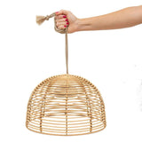 Jardín Bossa 20 Bateria Colgar