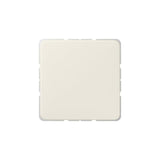 Jung 594-0 St Tapa Ciega
