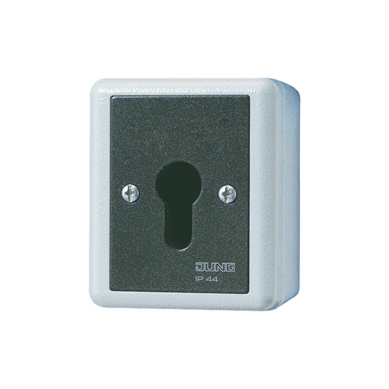 Jung 806.28 G Ap Wd-Schlüsselschalter 2p Wechsel-