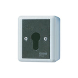Jung 806.28 G Ap Wd-Schlüsselschalter 2p Wechsel-