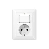 Jung As 5576 Uww Up-Toma De Corriente Con Conmutador