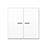 Jung As 591-5 Ko5 Ww Tecla Basculante Para Kontroll Interruptor Serien