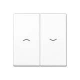 Jung As 591-5 P Ww Tecla Basculante Para Jalousie Interruptor- Pulsador