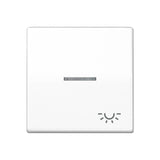 Jung As 591 Ko5l Ww Tecla Basculante Kontroll Con Luz Sistema