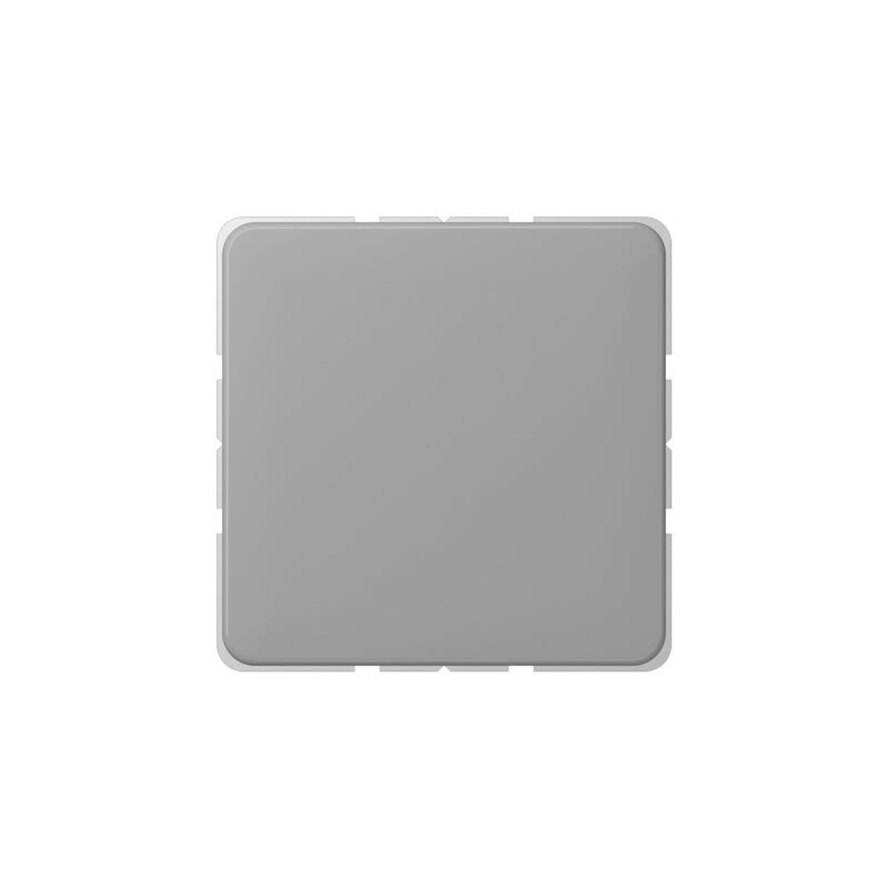 Jung Cd 594-0 Gr Blindabdeckung Mit Tragring
