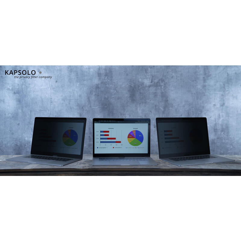 Kapsolo 2-Wege Magnet Filtro De Privacidad Standard 14.0" 16:10
