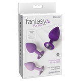 Kit 3 Plug Anal De Entremaniento