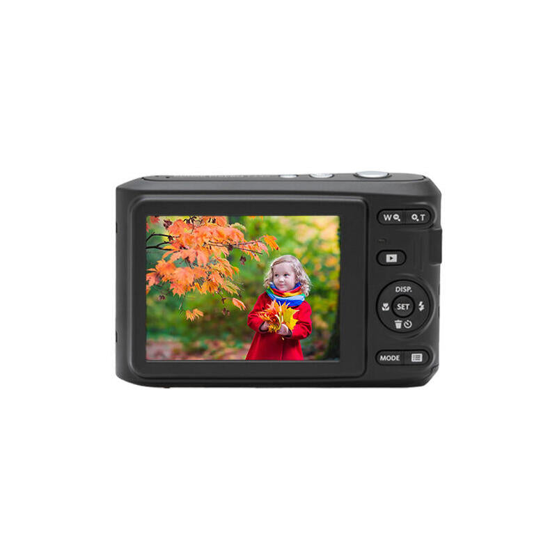 Kodak Pixpro Friendly Zoom Fz45 - Digitalcamara