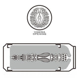 Lata Masturbadora Vagina Imperial Stout