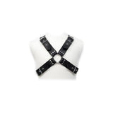 Leather Body - Buckles Harness