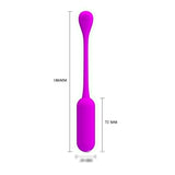 Huevo Vibrador Lechies  Con Control Remoto Usb