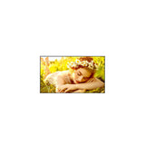 Lg 65ul5q-M Pantalla De Señalización Pantalla Plana Para Señalización Digital 165,1 Cm (65") Led Wifi 500 Cd / M² 4k Ultra Hd Negro Webos 24/7
